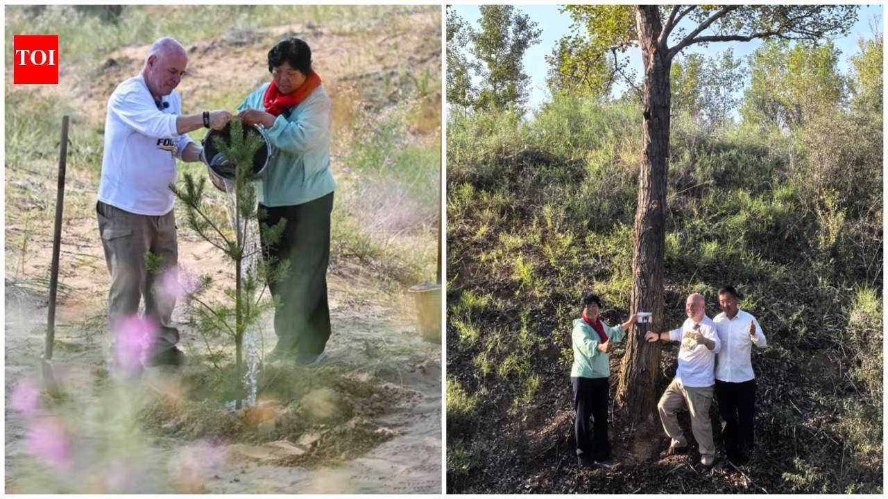 Pennsylvania teacher’s $5,000 donation helps turn China’s Maowusu desert into a forest of 50,000 trees