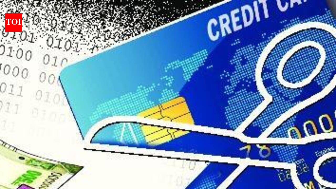 Haryana tourist loses Rs 88k in holiday package fraud | Goa News - The ...