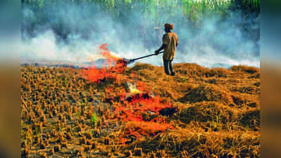 8 new stubble burning cases in Punjab