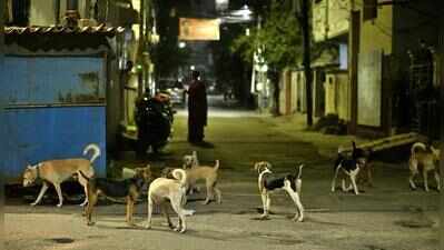 Goa records zero animal rabies cases despite 39 in neighbouring states