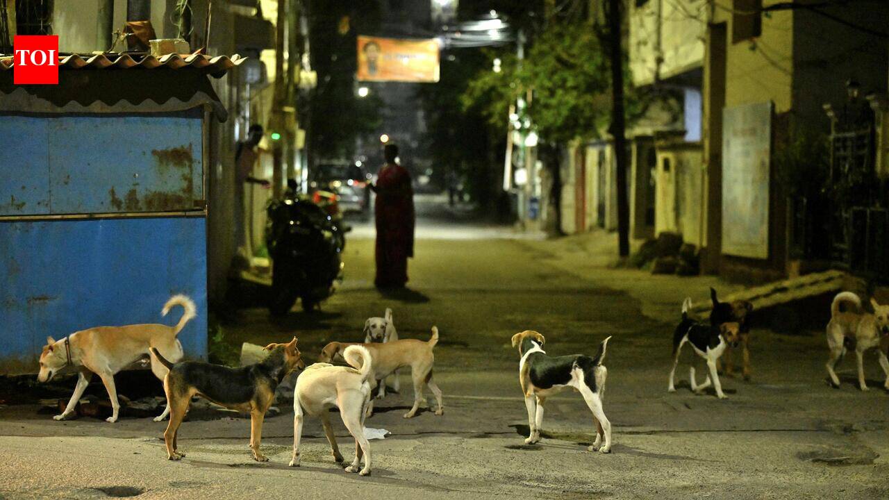 Goa records zero animal rabies cases despite 39 in neighbouring states