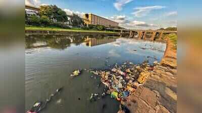 On World Rivers Day, Pune’s river movement seek a Mula-Mutha reconnect