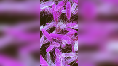 US FDA puts Hyderabad firm’s Fish Masala on Salmonella import-alert list