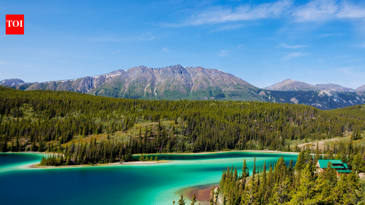 In 1993, a project set out to reconnect wildlife habitat from Yellowstone to Canada's Yukon