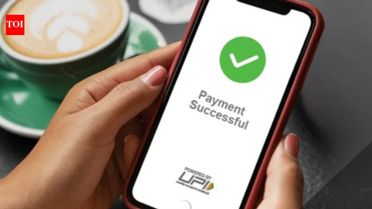 'MDR to boost UPI use in cross border payments': JP Morgan Global Payments co-head