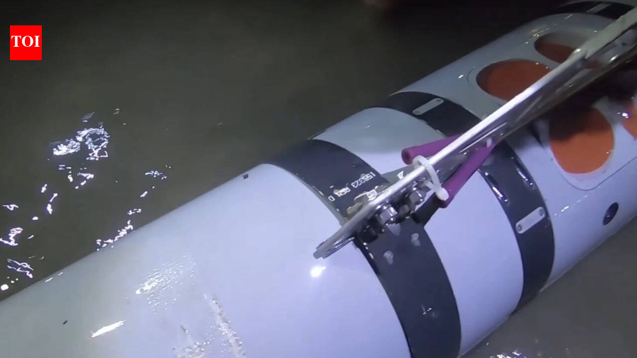 'Mk 18 Mod 2 Kingfish': IRGC claims second US underwater drone seized in Strait of Hormuz