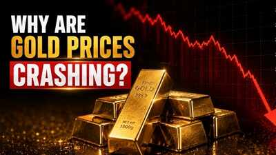 Why are gold prices crashing today? MCX Gold down Rs 3,200/10 grams, plunges over 2% - top reasons for fall