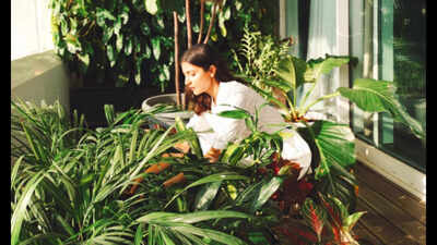 Anushka Sharma once revealed she had nearly 600 plants at home: Her simple decor tricks for making a room feel more alive
