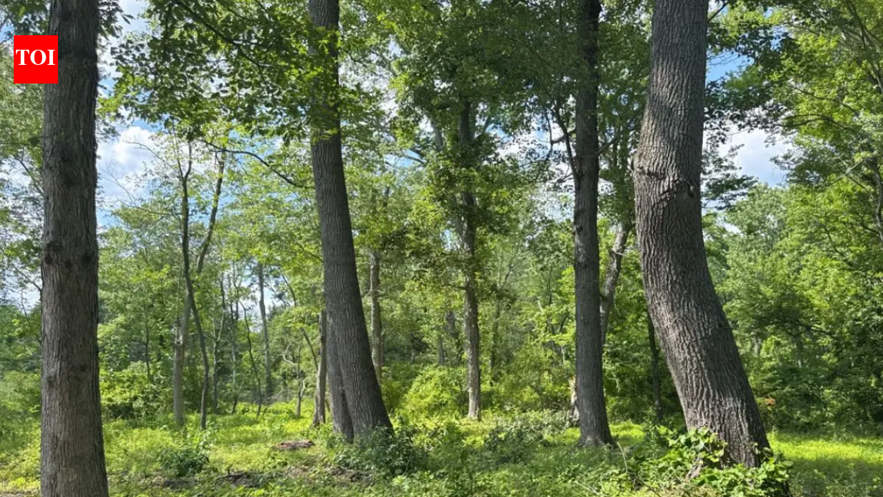 Pennsylvania Farm Conservation Easement: Becks protect 30-acre Bucks County farm; corridor aids at-risk wildlife