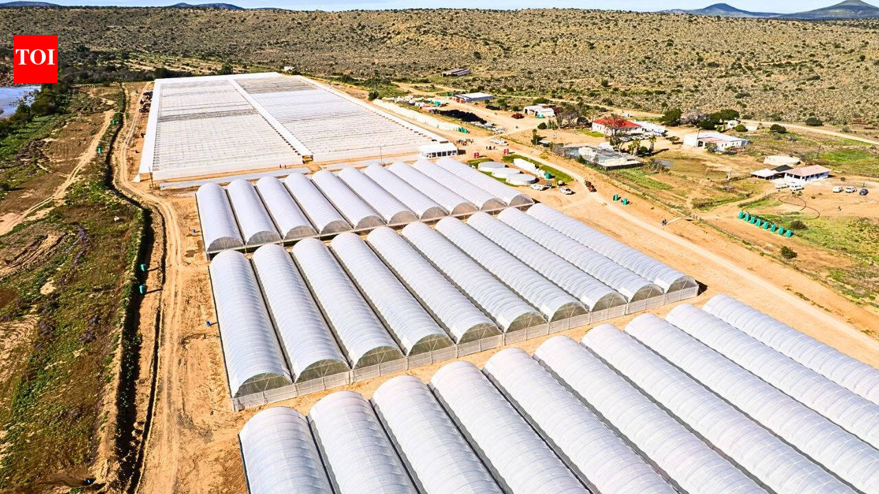 South Africa’s Eastern Cape to plant 180 million spekbooms to create 11,000 jobs