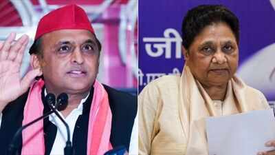 'Against EVMs even if we win all seats': Akhilesh, Mayawati express distrust, cite US, Germany