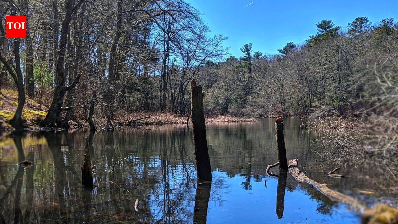Minnesota couple expands 20 acres into 655-acre Montana conservation haven