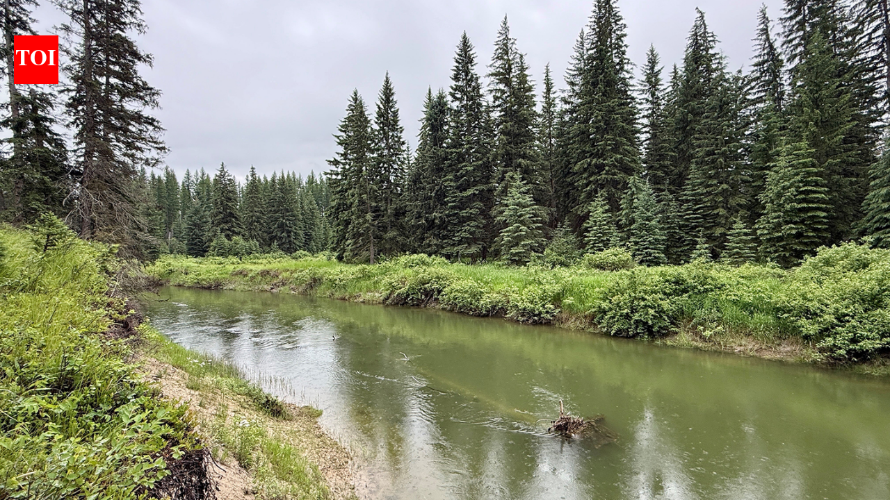 In 2003, Sean and Melodye Rooney bought Montana land; 23 years later, their 57 acres were protected
