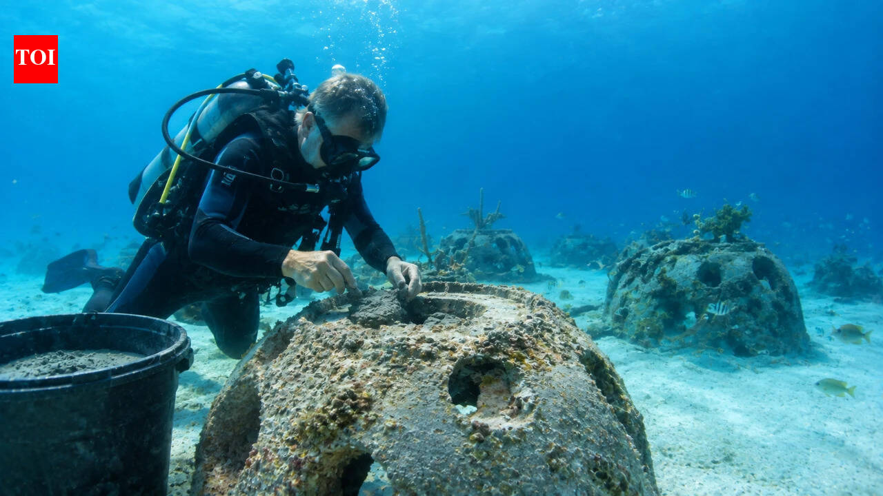In 1998, a Florida man mixed his father-in-law’s ashes into concrete and sank the first memorial reef off Sarasota; the idea grew into more than 2,500 living reefs across 25 U.S. coastal sites