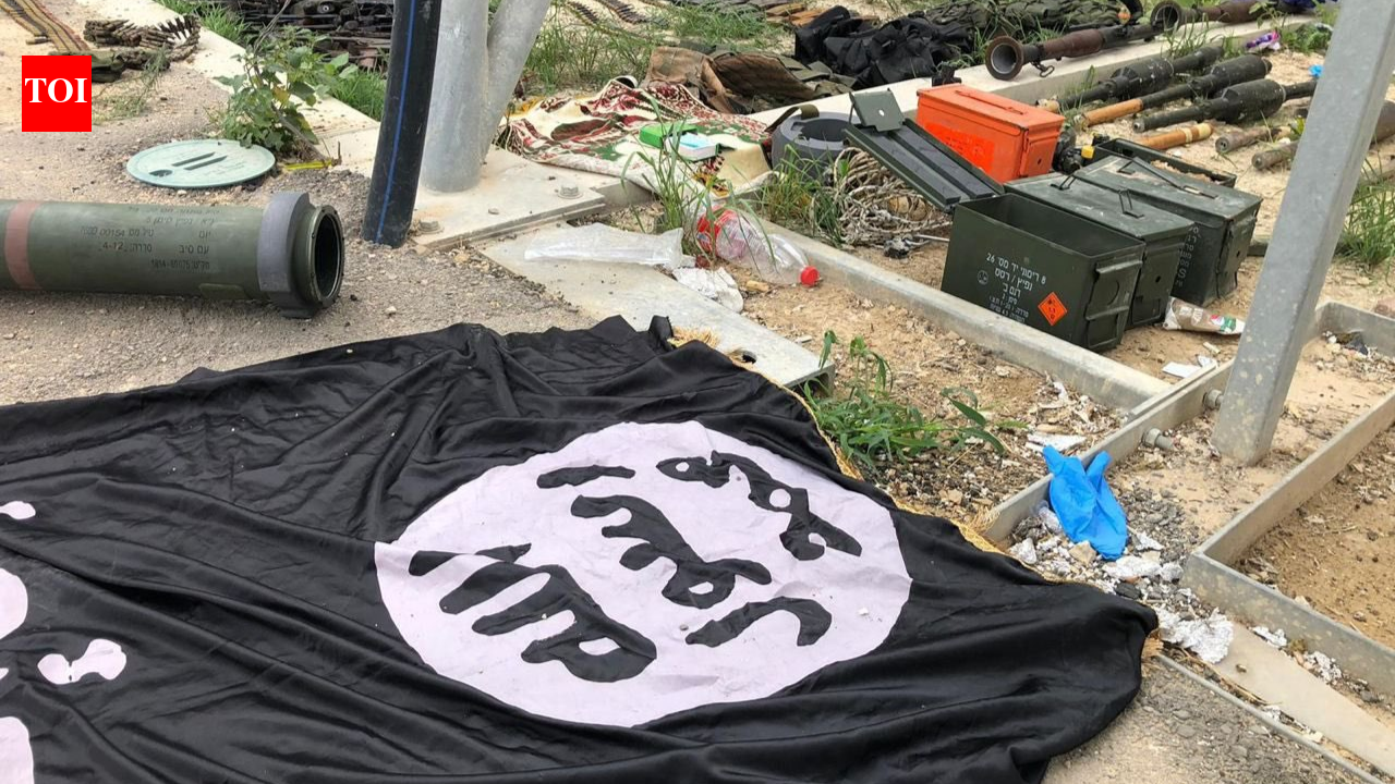 'Naive gamer' to IS sympathiser: How US teen Daniel Fischer was radicalised