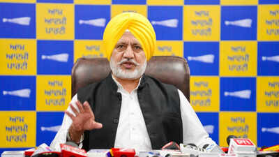 Punjab Police handled LPU situation professionally, says AAP leader Baltej Pannu