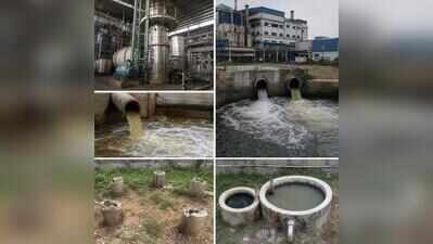 NGT asks starch firm to submit compliance report on violations