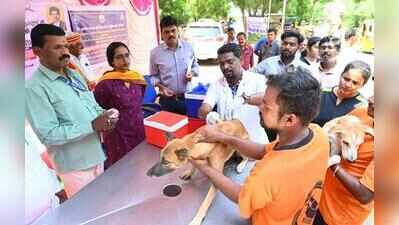 36,090 stray dogs sterilised in Trichy