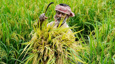 Centre discusses drought measures to protect Rabi crops in the country