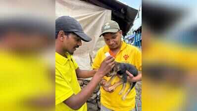 Karnataka to launch free anti-rabies vaccination for 11 lakh pets