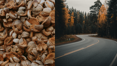 Engineers turn coconut shells into road material; 12.5% biochar makes asphalt stronger and more heat-resistant