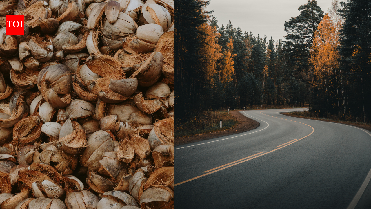 Engineers turn coconut shells into road material; 12.5% biochar makes asphalt stronger and more heat-resistant