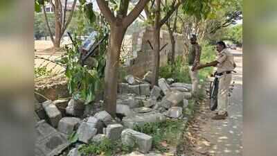 Wild elephant strays close to Bengaluru, tramples morning walker to death