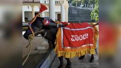201-medal kambala star Pandu dies at 26