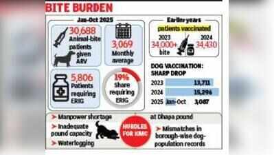 30k bite cases, 3k dogs jabbed: Kolkata’s rabies gap widens