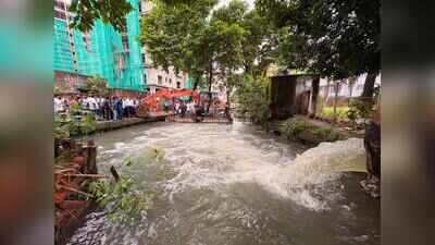 Canal-dredging to mitigate flooding in Behala pockets