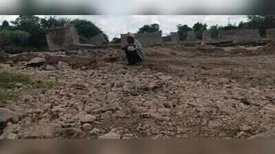 Last year’s flood erodes topsoil, now drought wilts crops in Dharashiv & Solapur