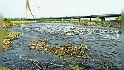 Supreme Court panel finds sewage from UP biggest contributor to Yamuna pollution