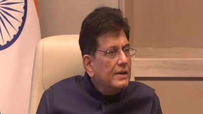 UAE may invest another $25bn: Piyush Goyal