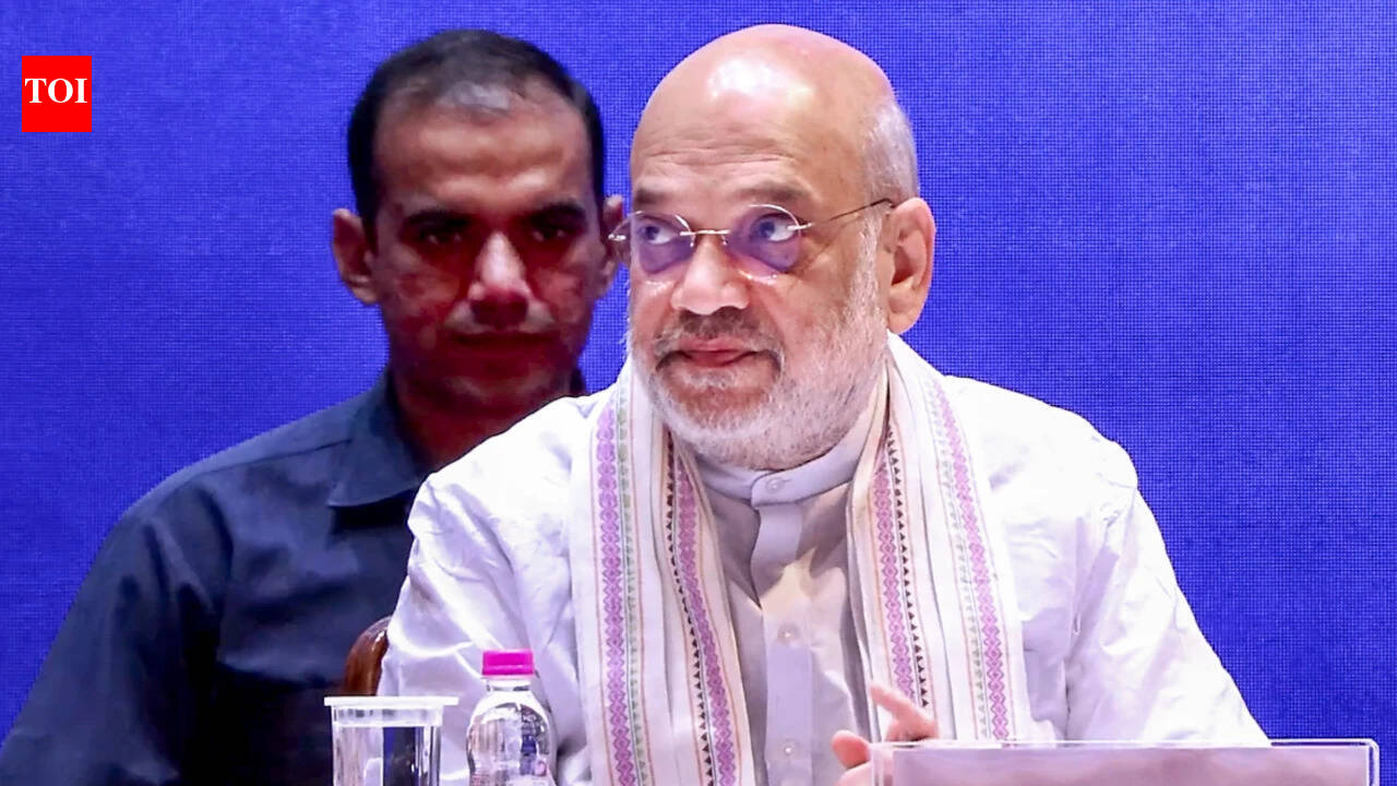288 fugitives brought back since 2019: HM Amit Shah | India News  timesofindia.indiatimes.com