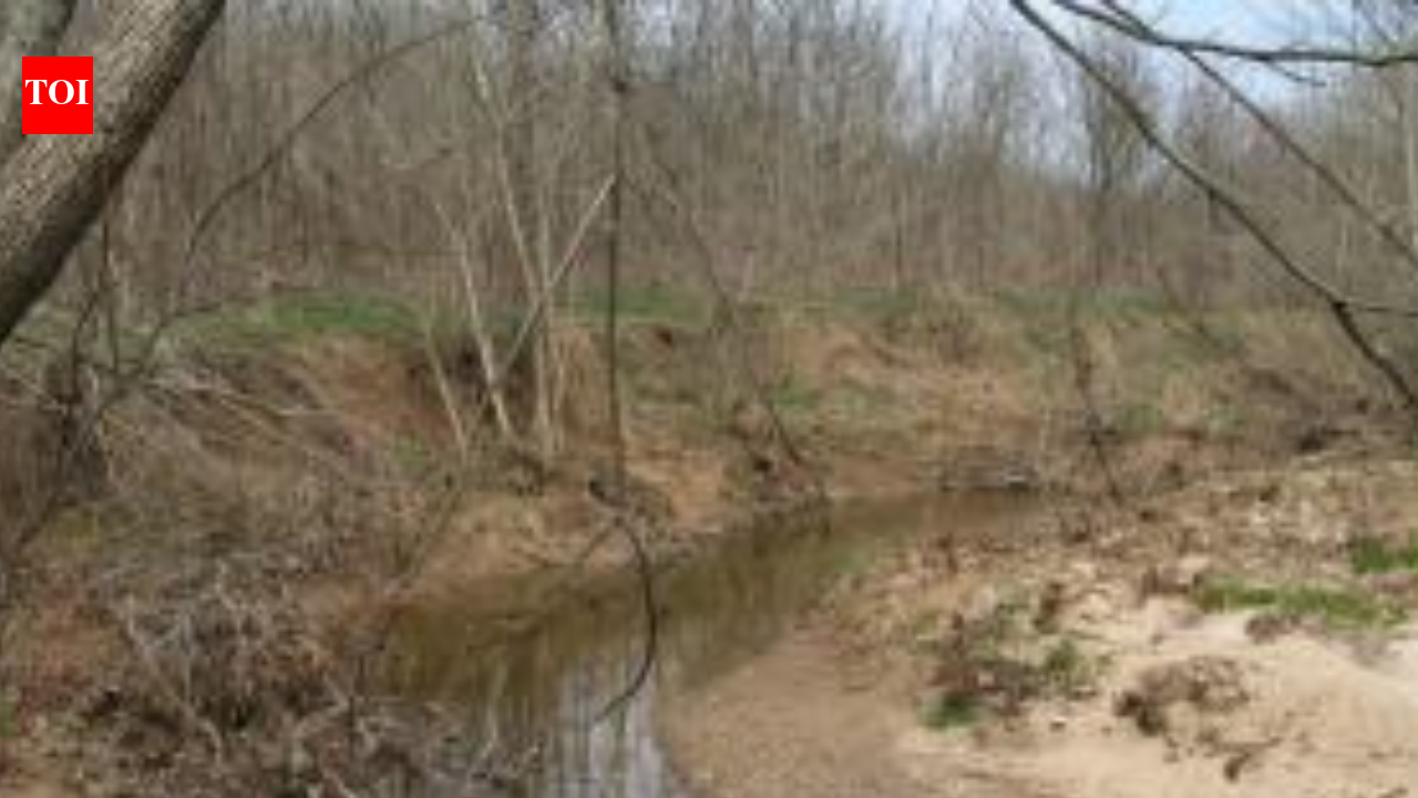 Private Effort Protects Reservoir: Landowner’s project restores creek; safeguards Kinkaid Lake water