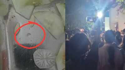 ‘Not first time’: Insects in hostel food trigger massive protest at Doon University