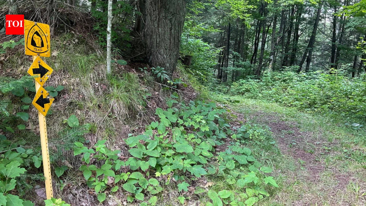 Wisconsin family to keep logging 1,800 acres as $1.6 million deal blocks development