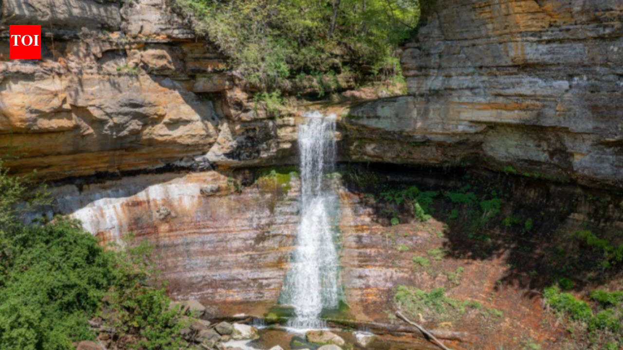 Illinois waterfall photographed in 1903 could become a public park after 50-acre donation