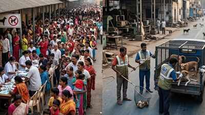 30k bite cases, 3k dogs jabbed: Kolkata’s rabies gap widens