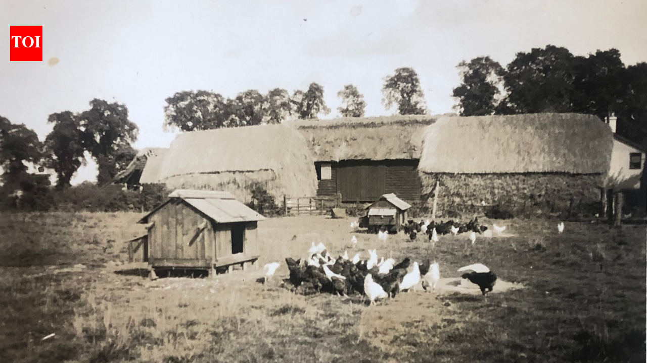 An Essex family set aside its entire farm roughly 30 years ago; after farming resumed in 2014