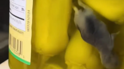 Dead mouse found in pickle jar: Influencer shares shocking video as brand recalls peppers over ‘potential pest contamination’