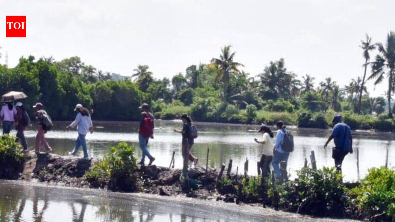 CMFRI backwater cruise takes participants through Vembanad’s mangroves, Pokkali fields