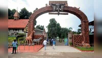 Lioness with ‘infection in leg’ dies at Alipore zoo