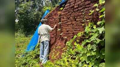 Akhada’s brick structure draws archaeologists to island’s past