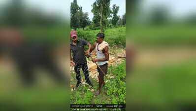 Man held for felling Sal tree