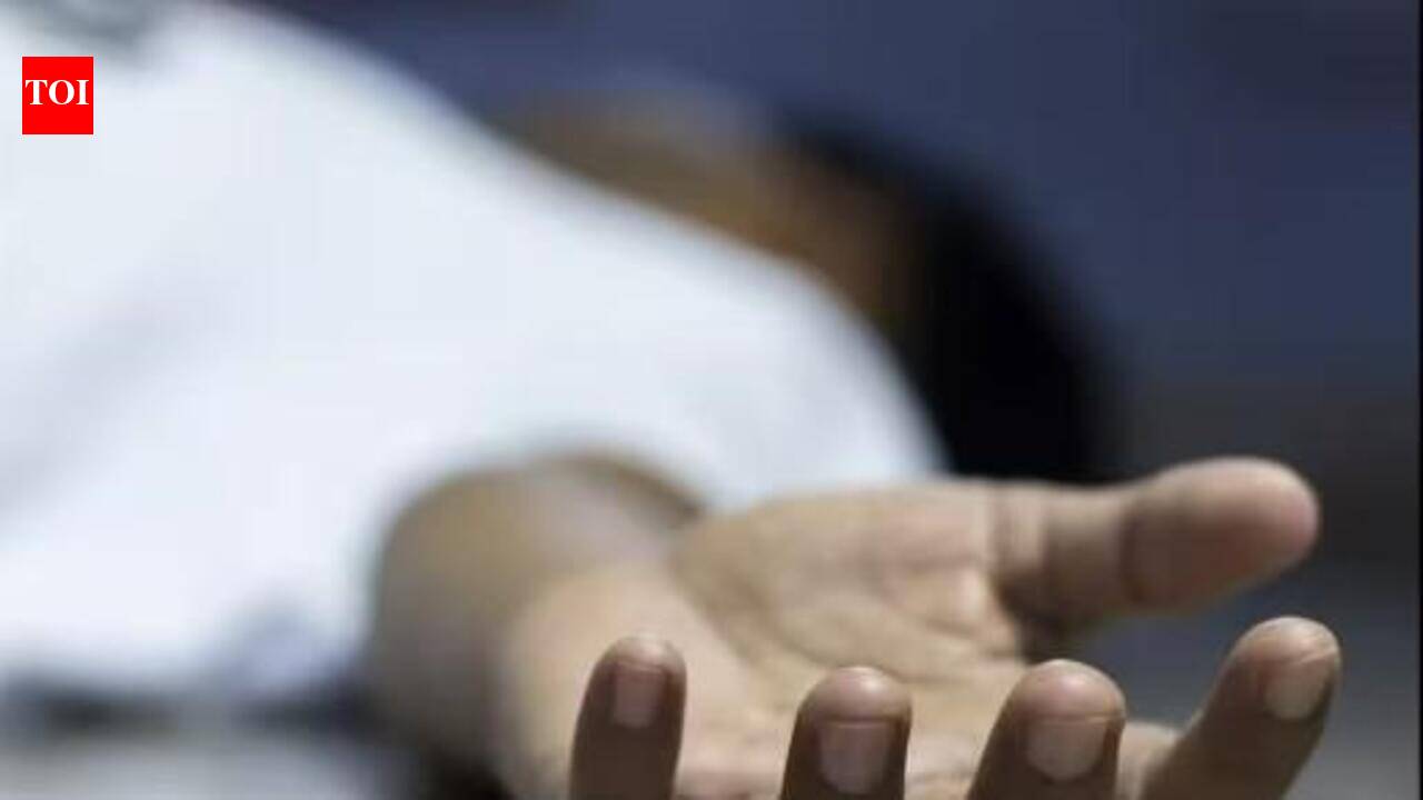 Medical student drowns in Chhota Udepur waterfall
