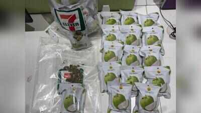 Flyer caught at Ahmedabad airport with 973g hydroponic marijuana