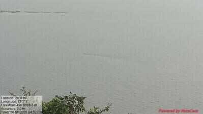 ‘Michael Phelps of jumbos’: E-5 stuns forest officials, swims nearly 10km across Bansagar backwaters