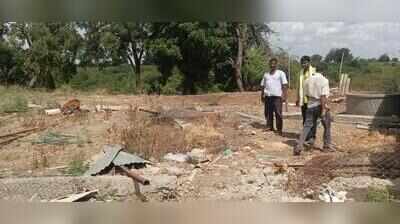 41 cattle drowned last yr, urad crop dies now:   Dharashiv family count losses, awaits govt aid