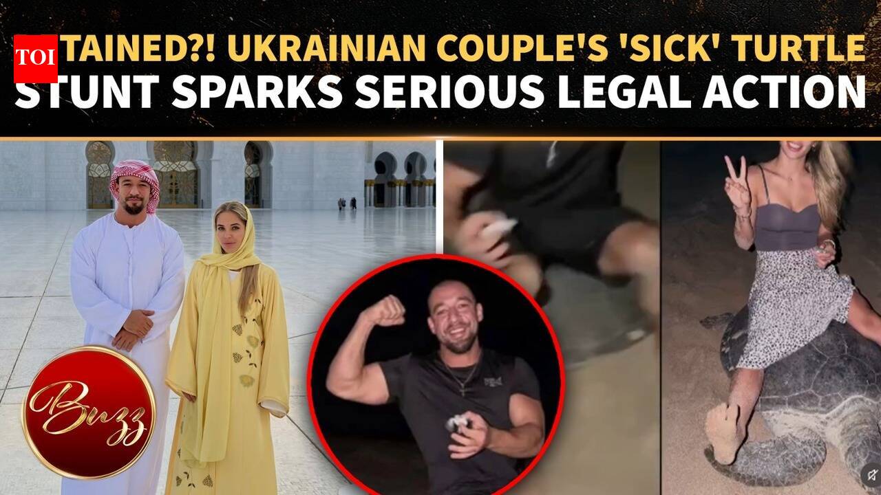 Ukrainian Tourists Spark FURY In Oman: VIRAL Turtle Video Triggers Legal Action